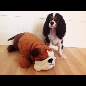 Meet your Posher, Fei